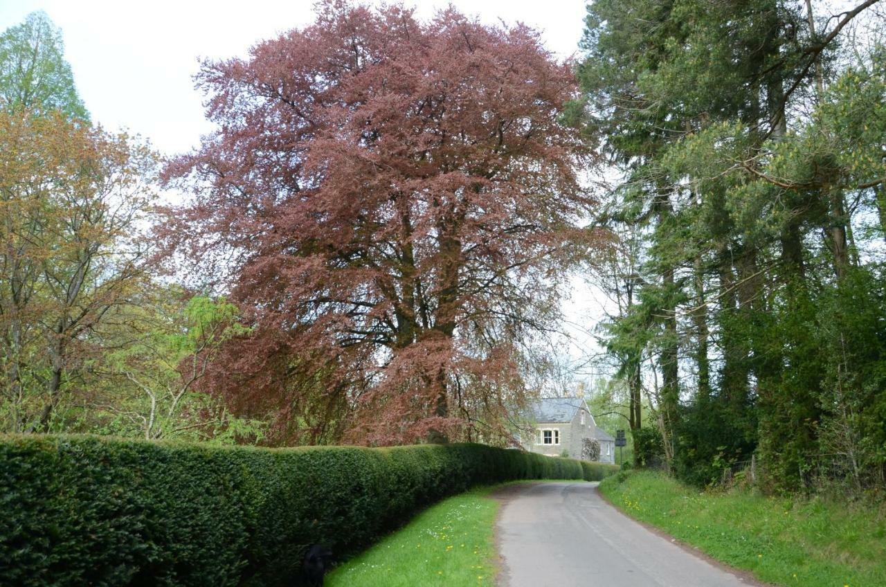Rosedale Retreat Bed And Breakfast Hay-On-Wye Eksteriør bilde